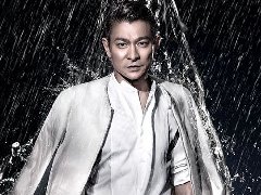 北京演唱会策划，刘德(dé)华演唱会被求婚