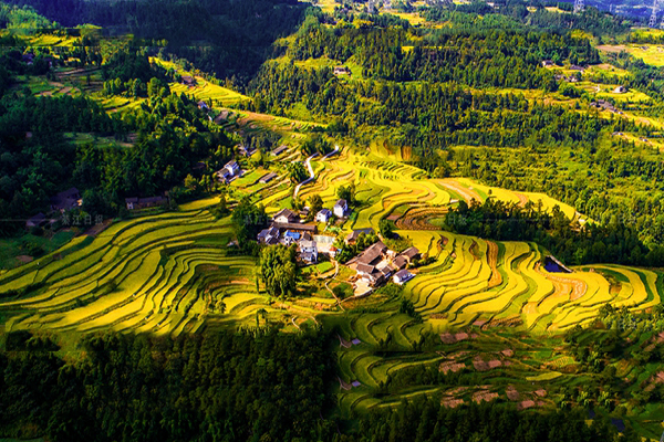 梯田旅游